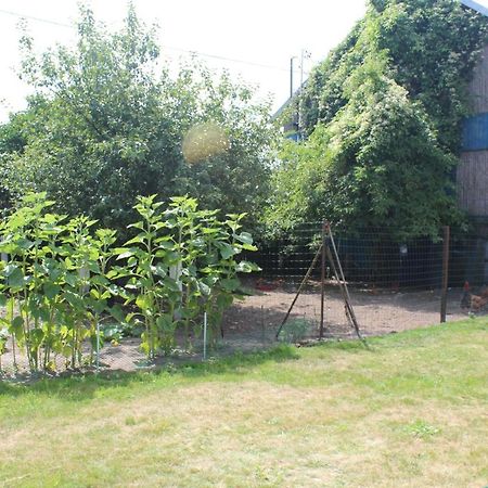 Agroturystyka Kociewiak Szteklin Ngoại thất bức ảnh