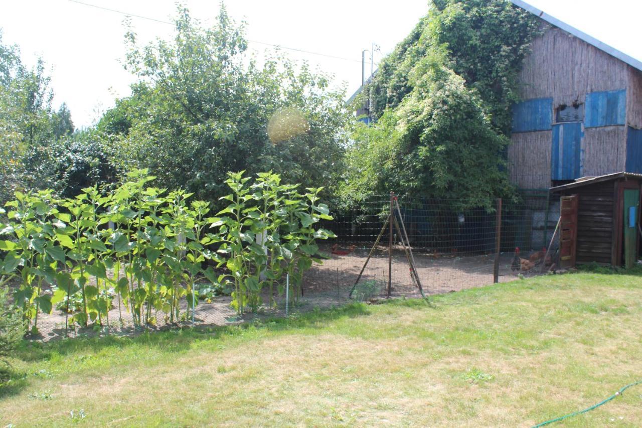 Agroturystyka Kociewiak Szteklin Ngoại thất bức ảnh